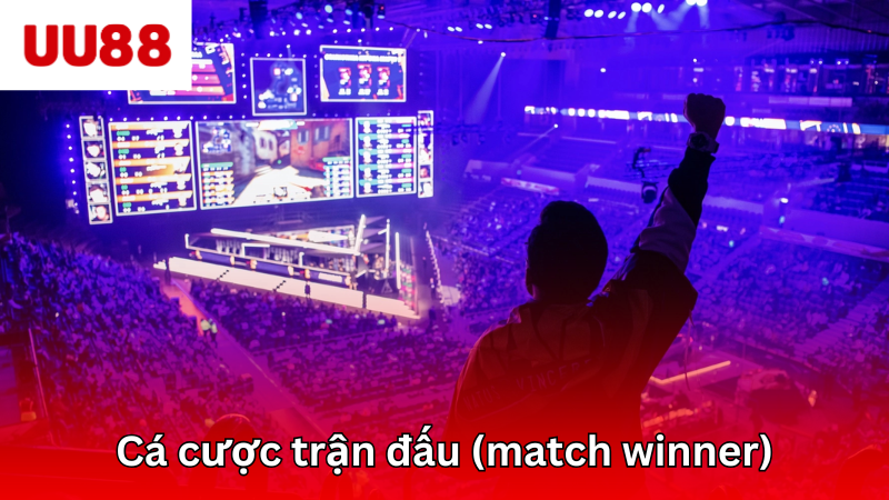 Đặt cược dựa trên dự đoán người thắng cuộc